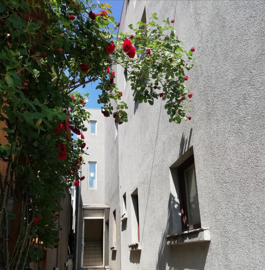 Nest Belgrado Exterior foto